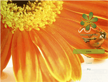 Tablet Screenshot of naturalmenteyoga.com